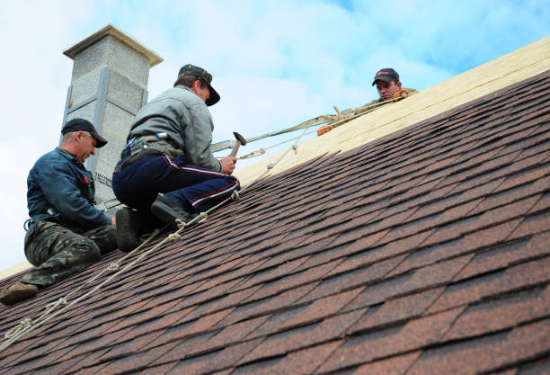 Best Roof Maintenance Services  in Baileys Crossroads, VA